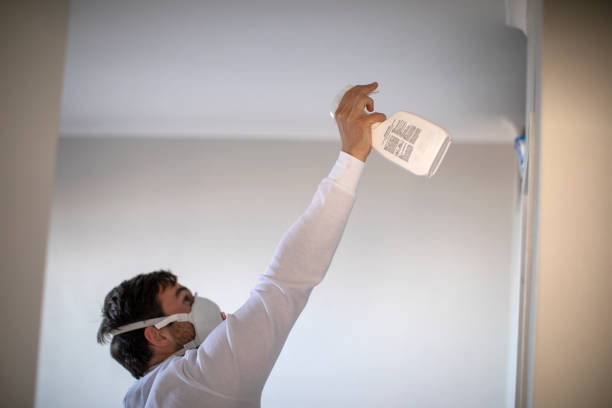 Best Residential Mold Remediation in Marshall, IL