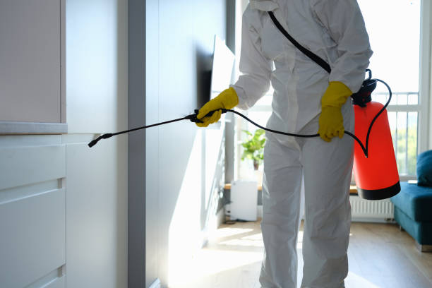 Best Emergency Mold Remediation in Marshall, IL